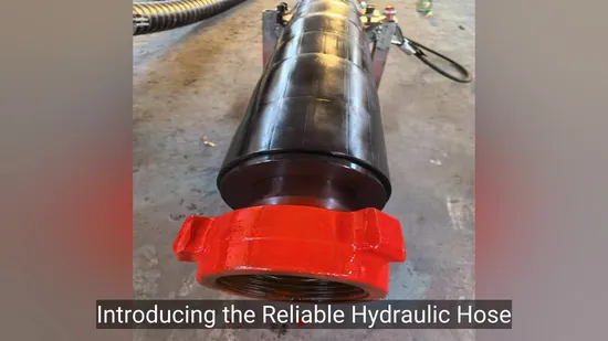 Zuverlässig Standard Hoch